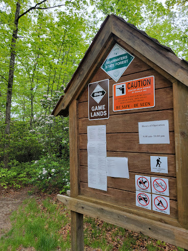 Turkey Mountain Trail: Headwaters State Forest