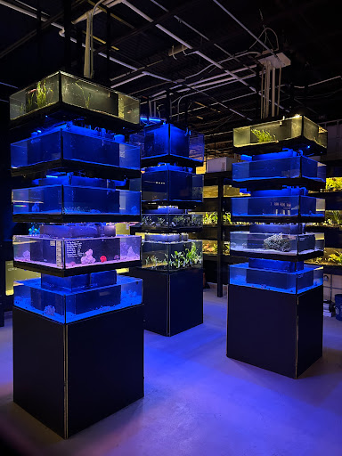 Vero Beach Aquarium - United States