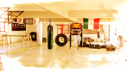 Crossfit Viper - Thumbnail