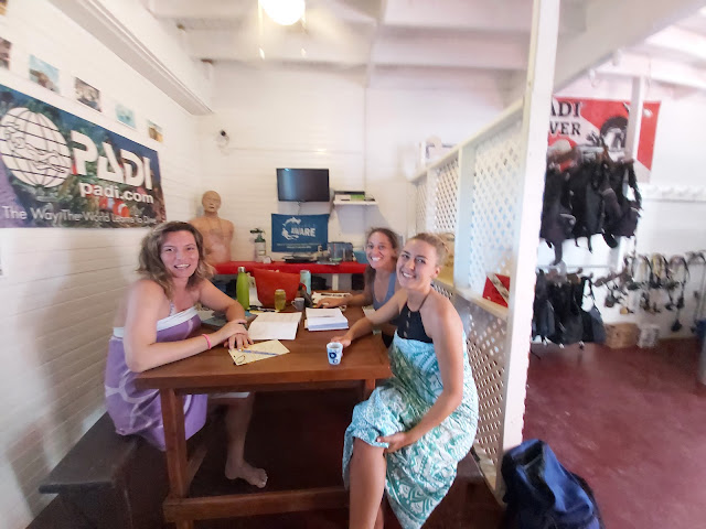 Octopus Dive School by null