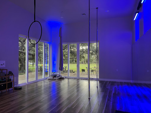 Feisty Fitness Co. Pole & Aerial - Thumbnail