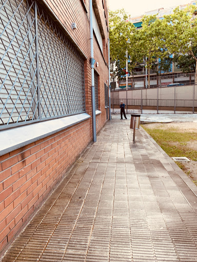 Institut Flos i Calcat - Thumbnail