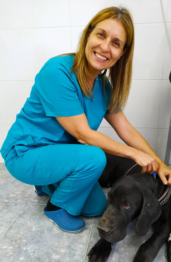 Centro Veterinario Imés