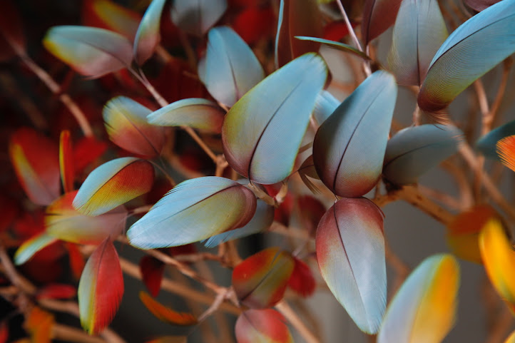 Caractères Paris by null