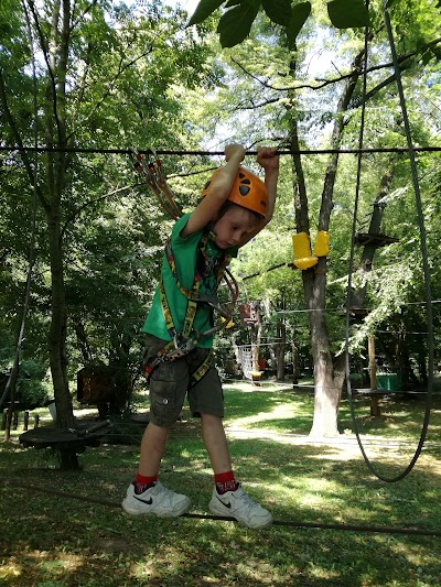 Photos of Old Lake Adventure Park