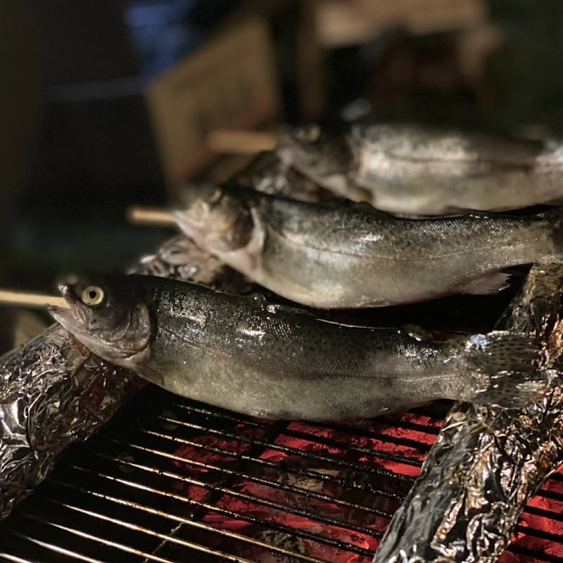 緑静苑 キャンプ場