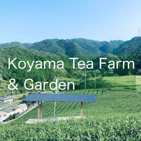 Photo of Koyama Tea Farm&Garden