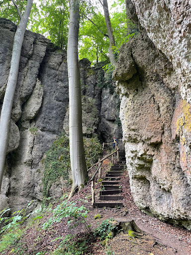 Forest reserve Eibenwald in Gößweinstein