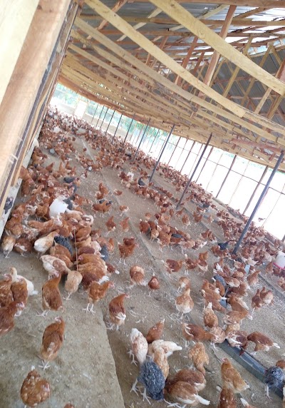 photo of Watershed Multipurpose Fish Farm