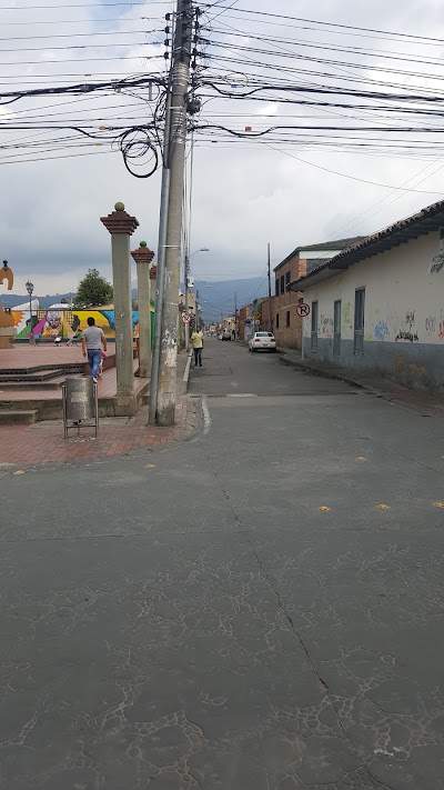 Photos of Council Chia