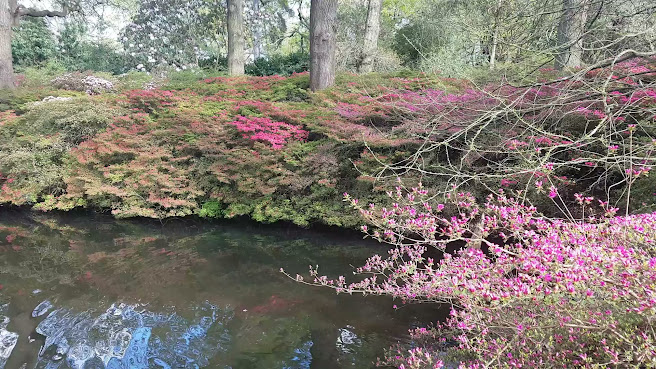 Isabella Plantation by null