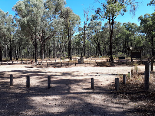 The Forest camp