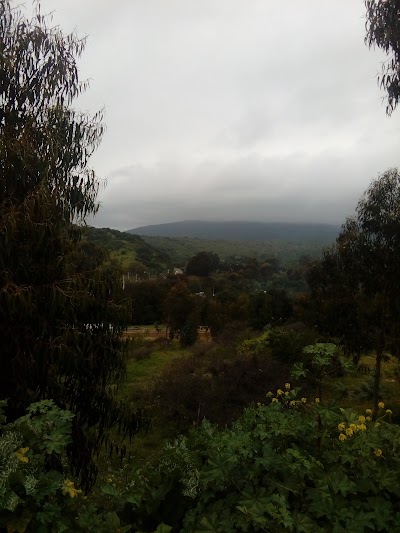 park