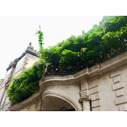 Photo n°15 de Grisel Immobilier à Bordeaux (Agence immobilière)