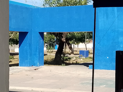 Preparatory Academic Unit 13