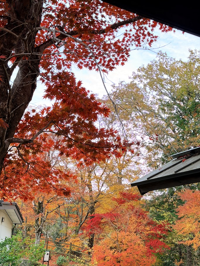天龍峡温泉交流館 ご湯っくり