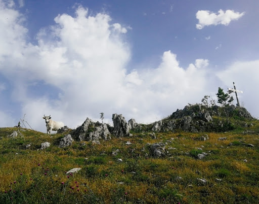 Monte Corno - Visual