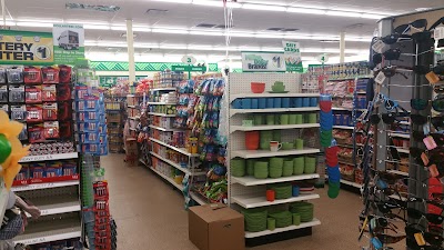 Dollar Tree