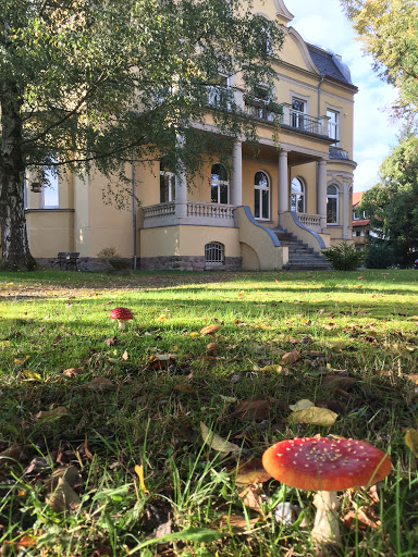 Thermomess Wärmemessdienst AG - Thumbnail