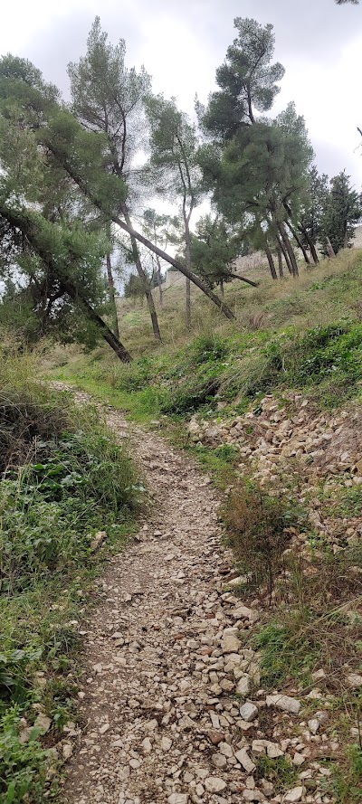 Shortcut to the Berat Castle ????