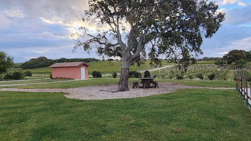 Poderi Parpinello - Visual