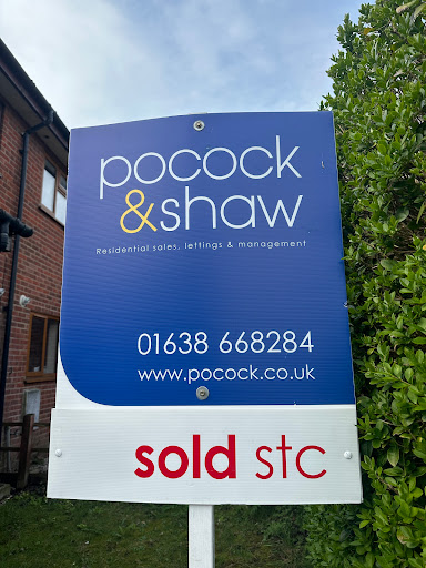Pocock + Shaw - Thumbnail
