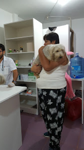 Alvet Veterinaria y Spa 21 de Abril 5