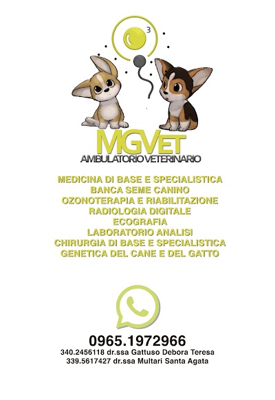 Ambulatorio Veterinario Mgvet