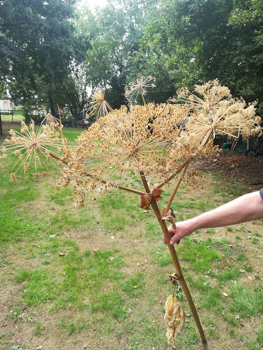 Bloemsierkunst van Well - Thumbnail