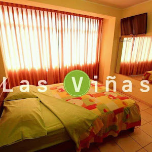 HOTEL LAS VIÑAS 4