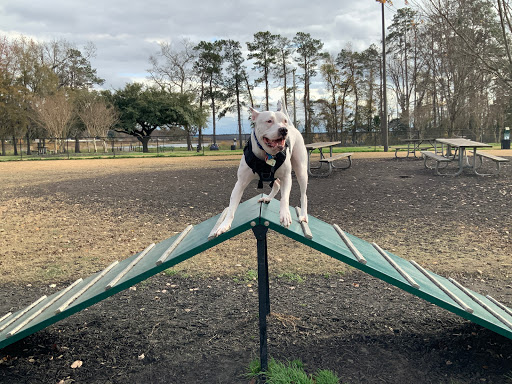 Conway Dog Park - Thumbnail