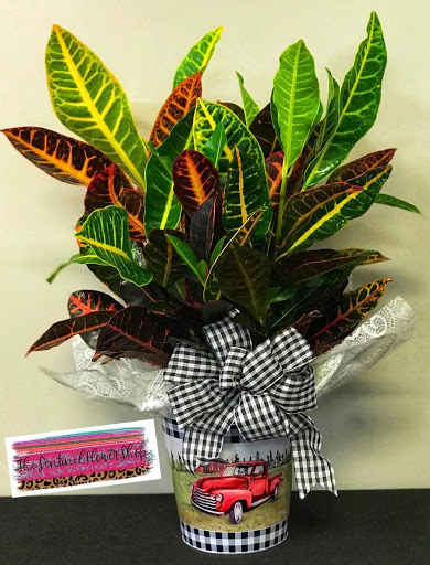 Sentinel Flower Shop Gallery - United States