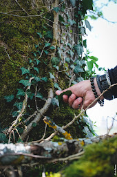 Photo n°7 de Ferme Les Sens De La Vie à Tauves (Magasin de produits de la ferme)