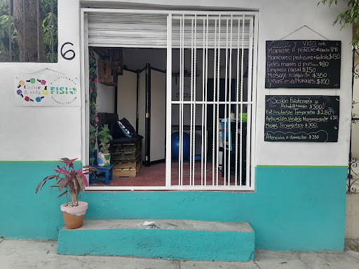 Fisio SP - Visual