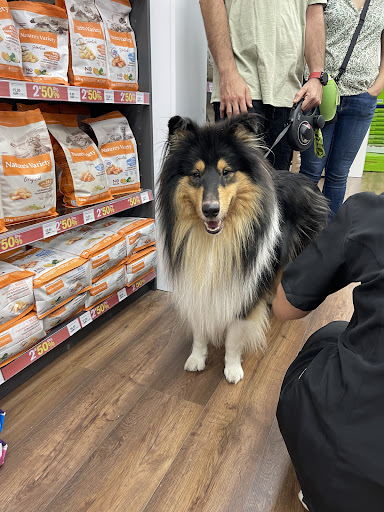 By Mascota Cerdanyola - Tienda Mascotas, Peluquería & Consulta Veterinaria