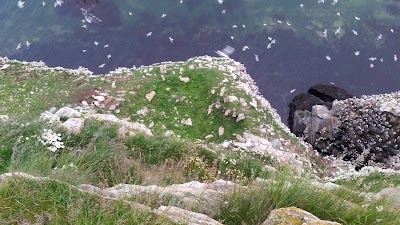 Photos of Ekker&oslash;y naturreservat