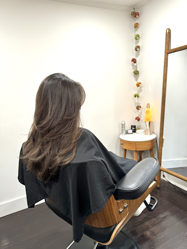 Salon Sovay - Visual
