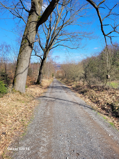 Friedhof Euba - Visual