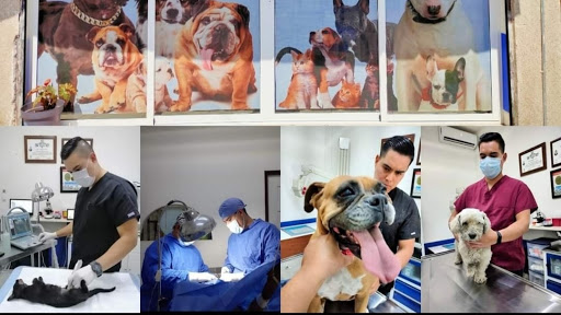 Vet's Clinic