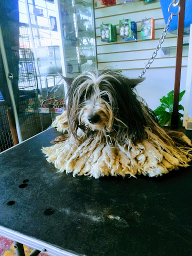 Clínica Veterinaria De Pelos - Thumbnail