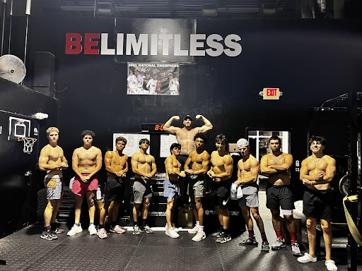Limitless Strength and Conditioning - Thumbnail