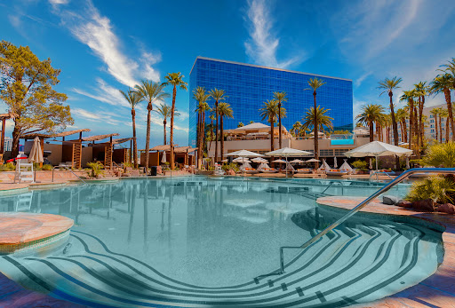 The Pool - Visual