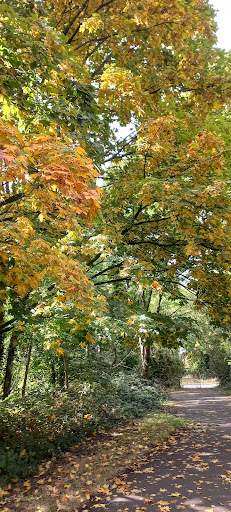 Mayflower Park - Thumbnail