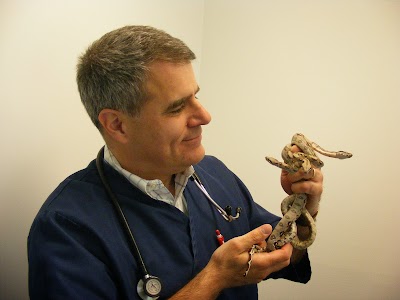 Exotic & Bird Clinic of New England