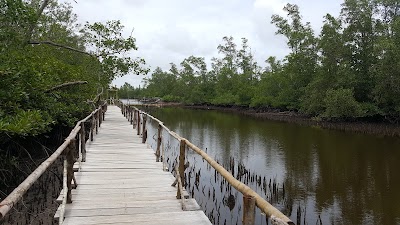 Photos of Mangrove Kuale