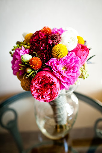 Ixia Flowers - Thumbnail