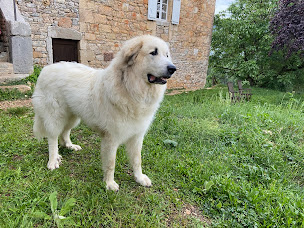 Photo n°24 de Art en Célé à Corn (Chambre d'hôtes)