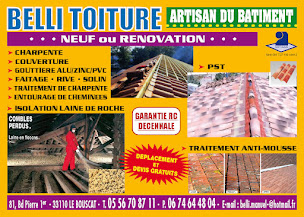Photo n°24 de bellitoiture à Le Bouscat (Couvreur)