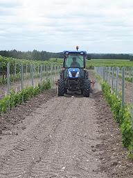 Photo n°14 de Cognac Michelet à Segonzac (Vignoble)