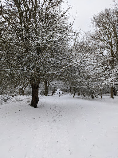 Hilly Fields - Visual